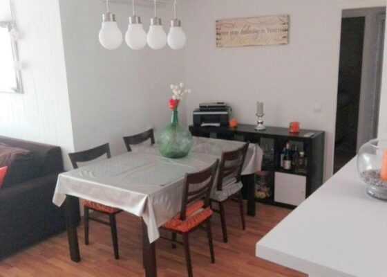Apartment for long term rental in Palmah