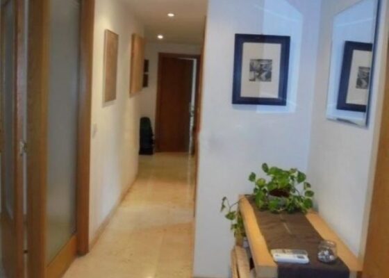 Drei Schlafzimmer Wohnung in Cala Mayor zu vermieten