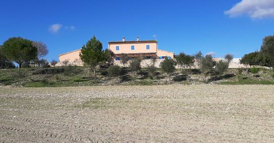 Modern Finca in Manacor for rent or sale