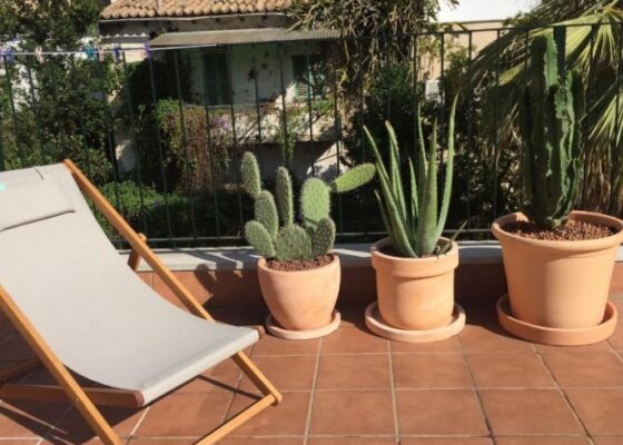 Cosy apartment with big terrace in santa catalina for sale