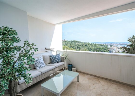 Fantastic sea view apartment with amazing views of the sea and the cathedral