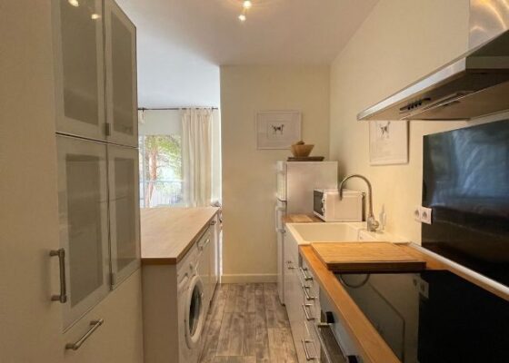 Modern two bedroom apartment in Sol de Mallorca to rent