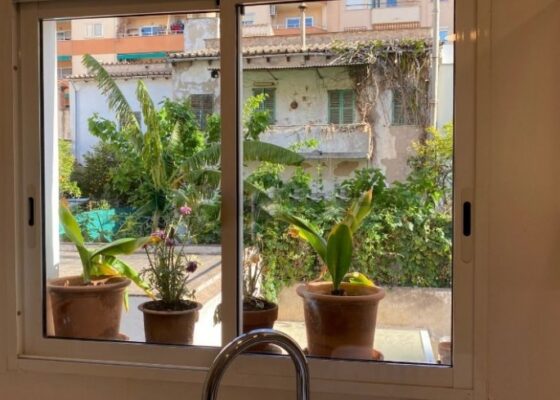 Gemütliche Wohnung mit grosser Terrasse in santa catalina zu verkaufen