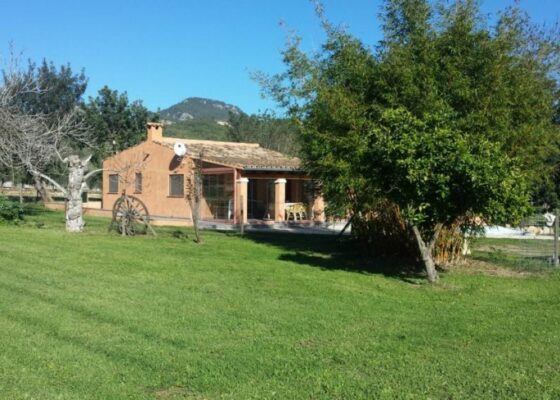 Nice finca with 3 bedrooms between Peguera and Capdella