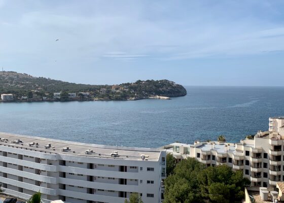 Beautiful renovated one bed room apartment with sea view in Santa Ponca