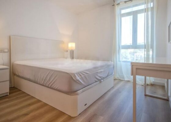 2 Schlafzimmer Apartment in Cala Mayor zur Miete