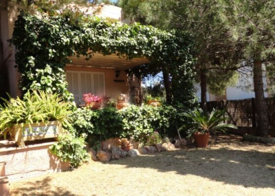 Charming House in Portals for rent and sale