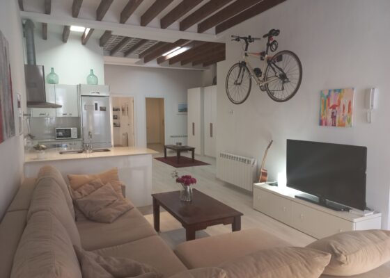 Sehr charmantes und modernes Apartment mit 2 Schlafzimmern zur Miete in Palma Innenstadt