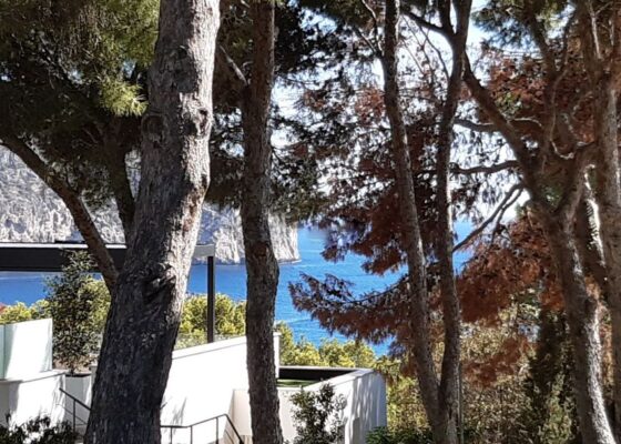 Modern sea view apartment for sale in Camp de Mar, Mallorca