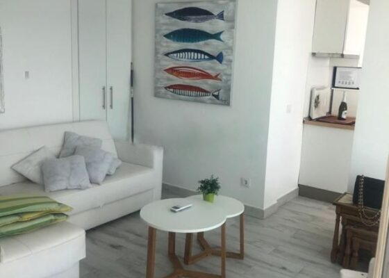 Apartment with majestic sea views to rent