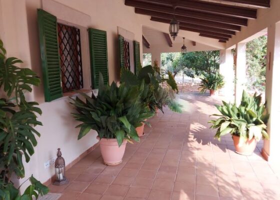 House in Llucmajor to rent