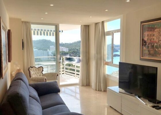 Seaview apartment in paguera to rent