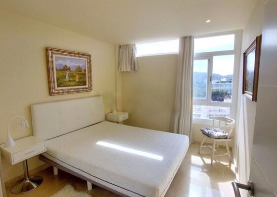 Seaview apartment in paguera to rent