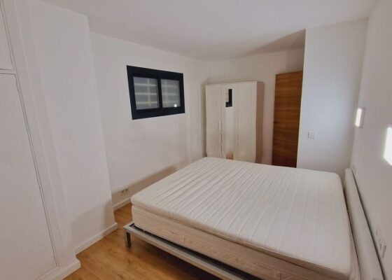 Modern apartment in portals to rent