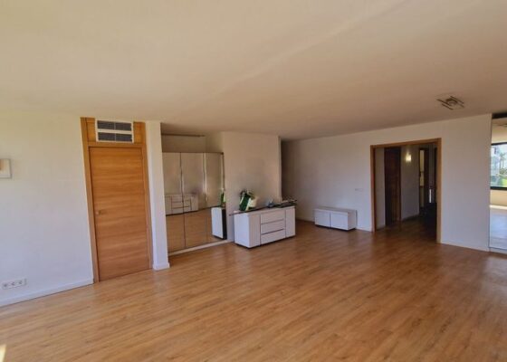 Modern apartment in portals to rent