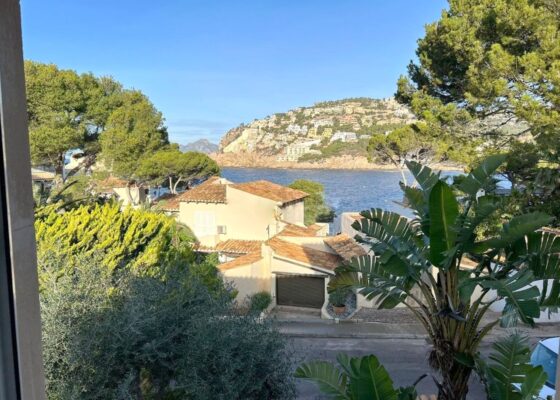 Seaview Villa with sea access in port andratx