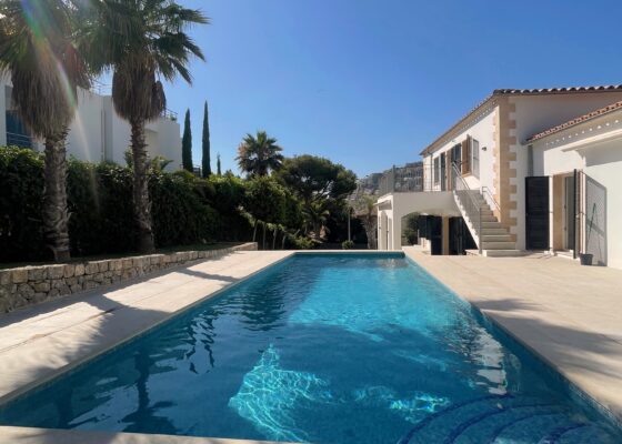 Seaview Villa with sea access in port andratx