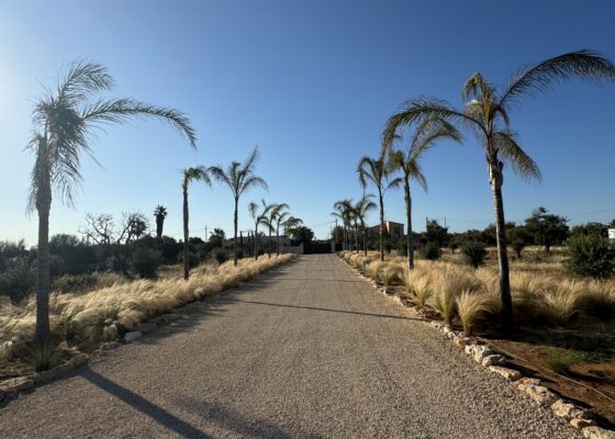 Außergewöhnliche Finca in Santanyi – Cala Llombards