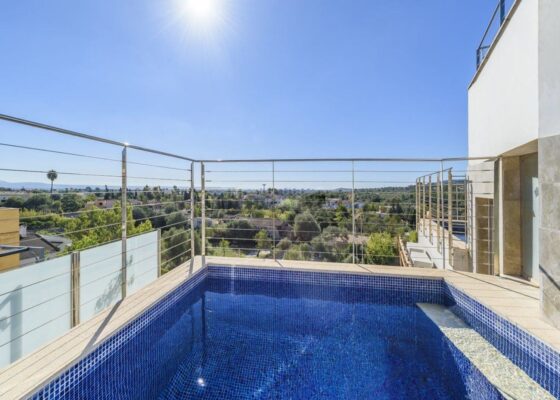 Stunning penthouse with pool for sale