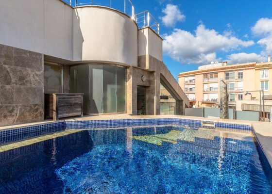 Stunning penthouse with pool for sale