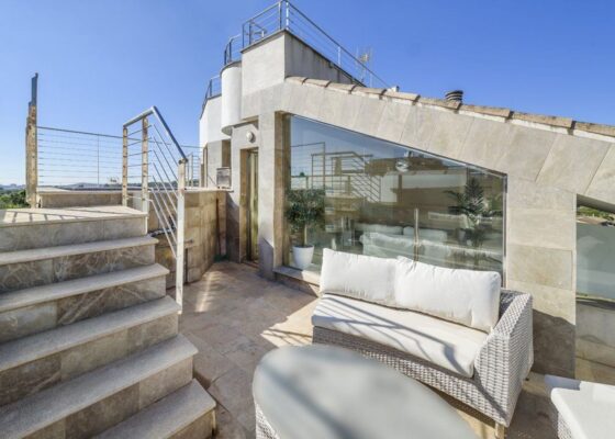 Stunning penthouse with pool for sale