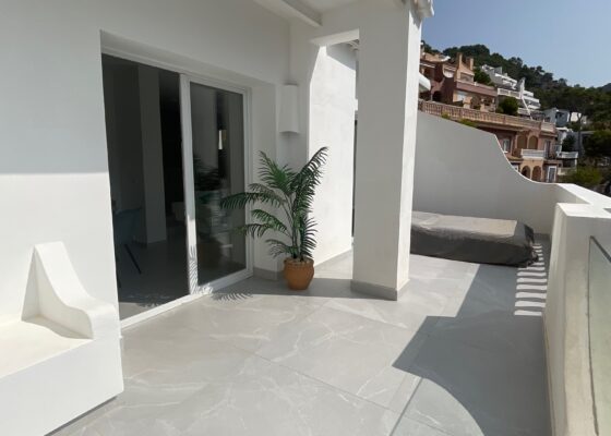 Stunning frontline apartment with sea access in Port Andratx