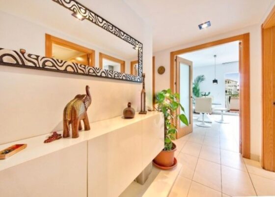 Beautiful Penthouse in San Augustin for sale