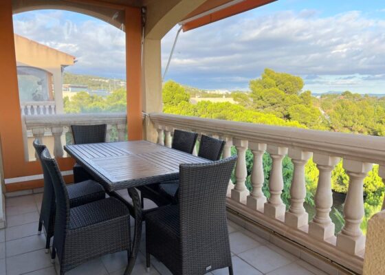 Seaview penthouse in Palmanova to rent