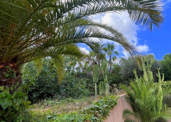 Mediterrane Immobilie in Paguera zu verkaufen