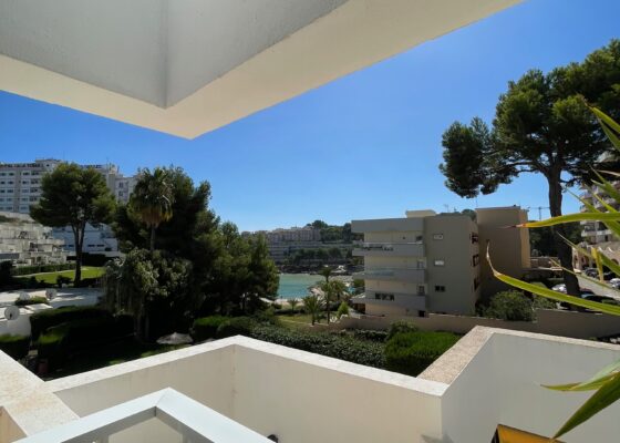 Seaview apartment with sea access in Cala Vinyas for sale