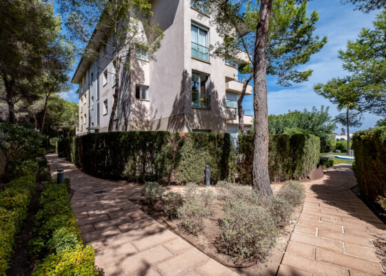 Außergewöhnliche Luxuswohnung in Sol de Mallorca mit Meerblick zu verkaufen