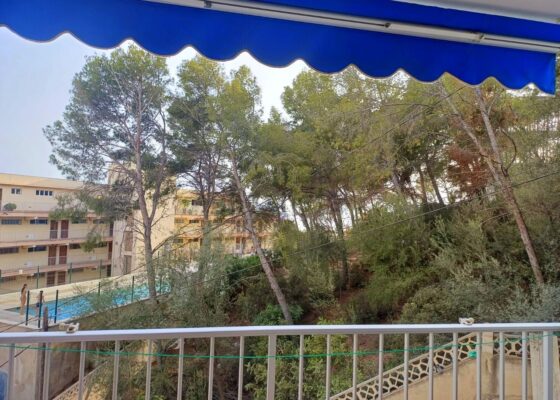 Two bedroom apartment by the sea in santa ponsa for sale