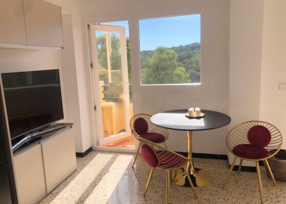 Two bedroom apartment in portals vells for rent