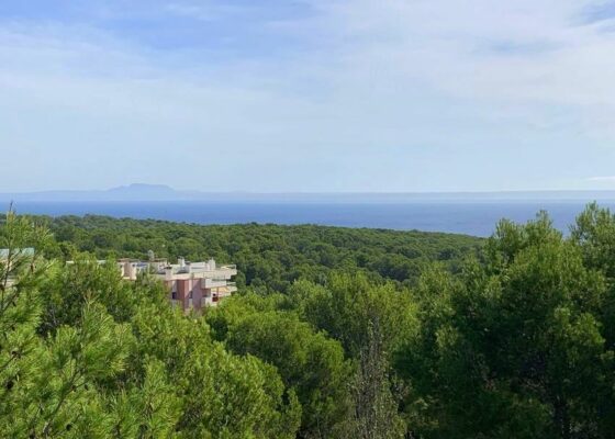 Seaview penthouse in sol de mallorca – long term rental