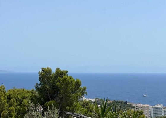 Investment opportunity in costa den blanes with sea views