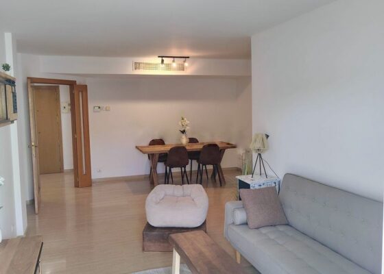 Penthouse in San Augustin for rent