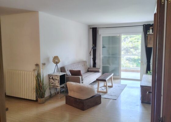 Penthouse in San Augustin for rent