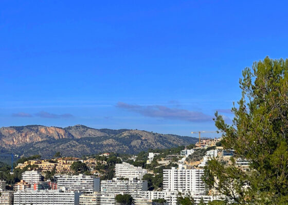 One bedroom apt in Kings Park with views