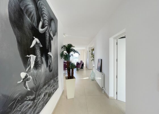 Luxury Villa in Palmanova with guest apartment for sale