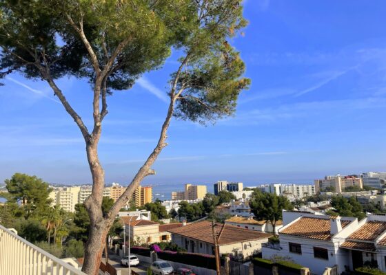 Luxury Villa in Palmanova with guest apartment for sale