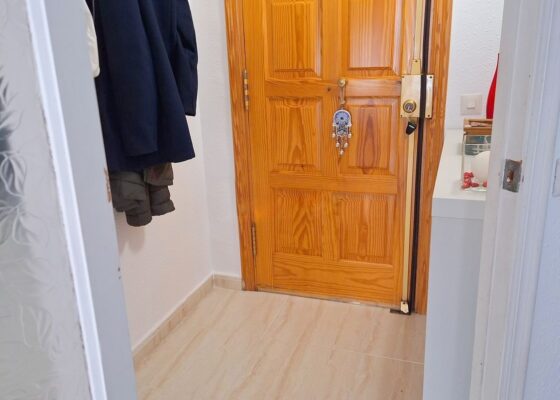 Three bedroom apartment in son ferrer for sale