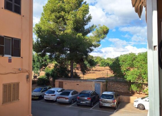 Three bedroom apartment in son ferrer for sale