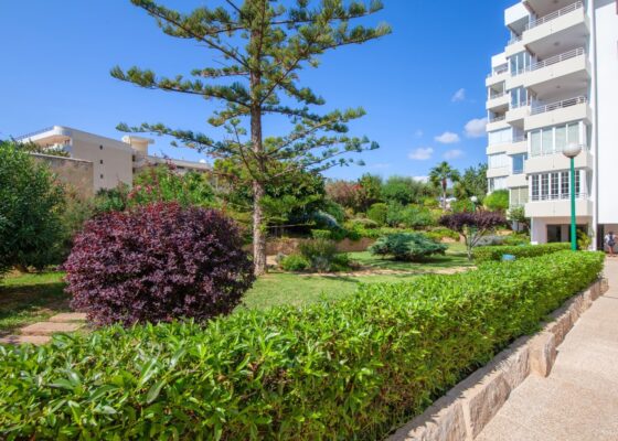 Three bedroom apartment in Portals for sale