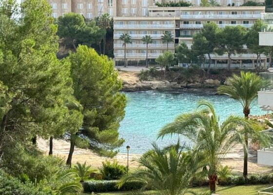 Seaview apartment in cala vinyas to rent