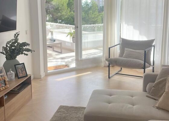 Seaview apartment in cala vinyas to rent