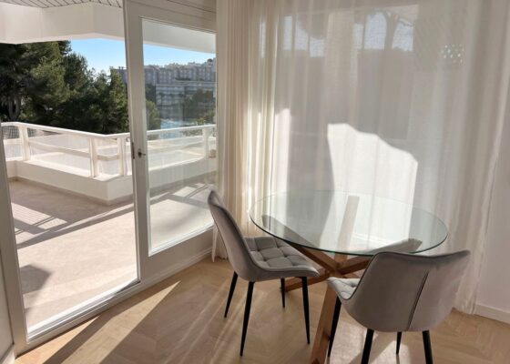 Seaview apartment in cala vinyas to rent