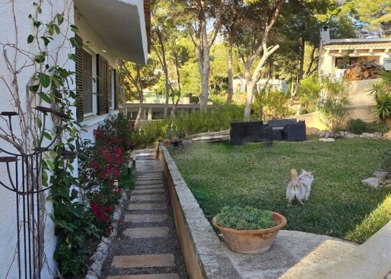 Charming House in Santa ponsa for summer rental