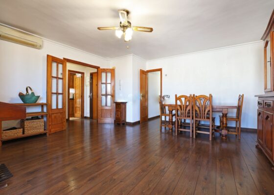 Penthouse in Palma with views for sale