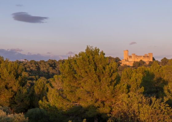 Duplex Penthouse with sea views in Bonanova for sale
