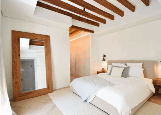 Luxurious Apartment in Palma old town for sale